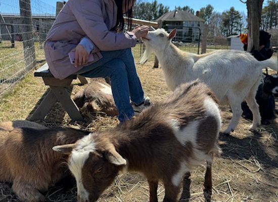 canada/eastern-ontario/attraction/haute-goat