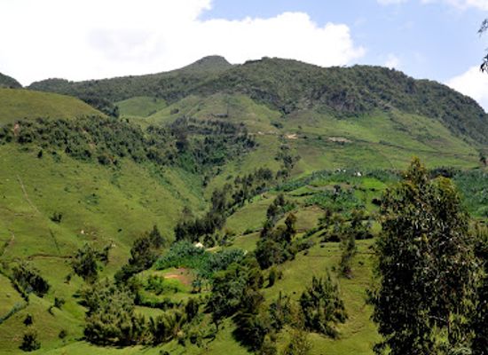 ethiopia/sidama-region/attraction/garanba-mountain-community-based-tourism-destination