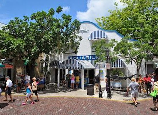 florida/key-west/attraction/historic-tours-of-america-inc