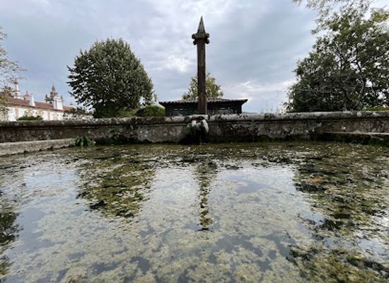 portugal/vila-real/attraction/historical-gardens-of-mateus-palace