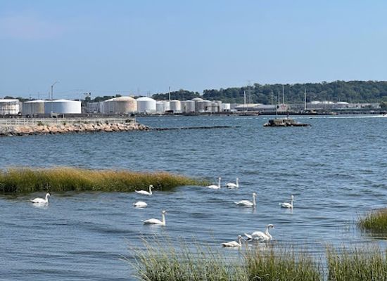 connecticut/new-haven-harbor/attraction/long-wharf-park