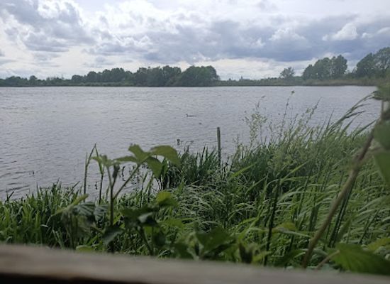 belgium/mechelen/attraction/vogeluitkijkpunt-en-vogelhut-in-het-broek-mechelen