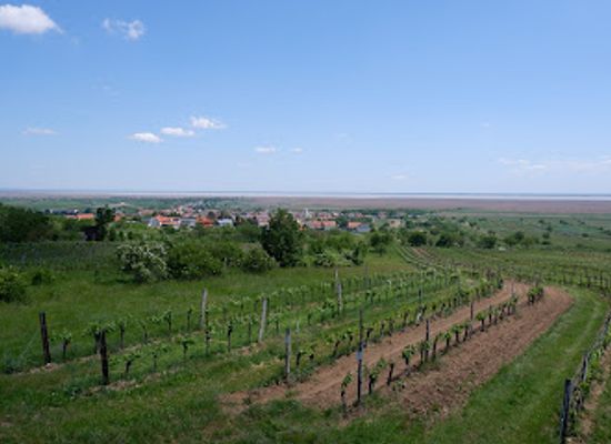 austria/neusiedler-see/attraction/aussichtsplattform-oggau