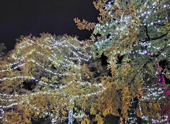 croatia/porec/attraction/advent-porec