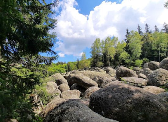 bulgaria/vitosha-mountain/attraction/moreni