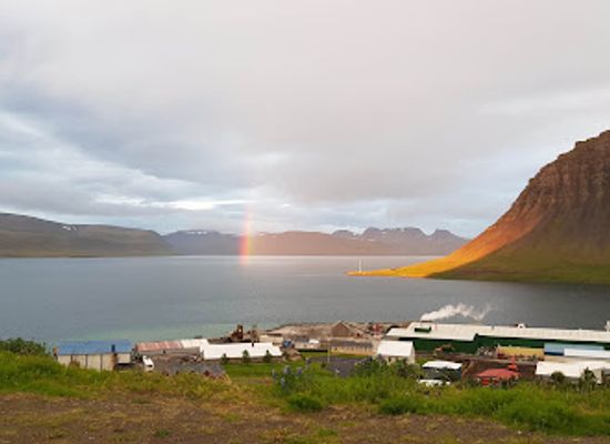 iceland/dynjandi-waterfall/attraction/the-icelandic-sea-monster-museum-and-coffee-shop