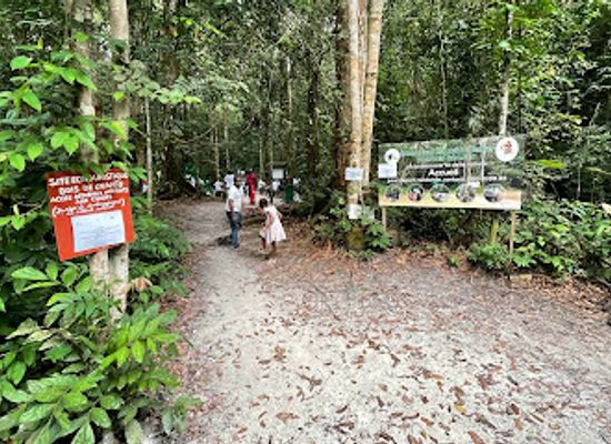 gabon/gaboon-estuary/attraction/arboretum-raponda-walker