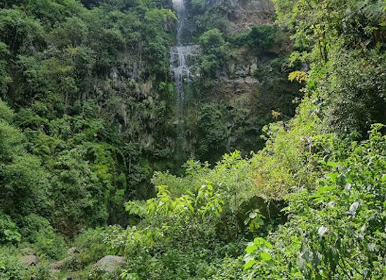 panama/ngabe-bugle-comarca/attraction/pipeline-trail-waterfall
