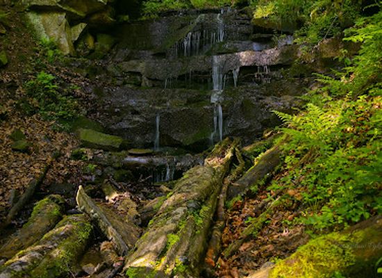 poland/bieszczady-mountains/attraction/wodospad-czartow-mlyn