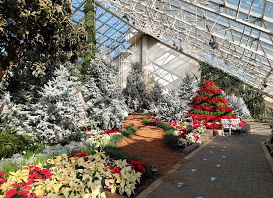 indiana/northeast-indiana/attraction/foellinger-freimann-botanical-conservatory