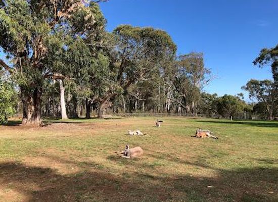 australia/adelaide/attraction/cleland-national-park