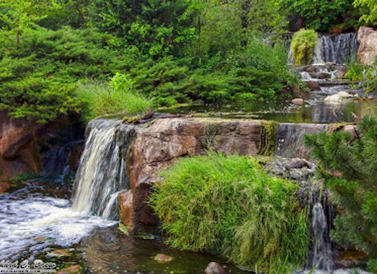 illinois/rock-river-valley/attraction/lake-katherine-nature-center-and-botanic-gardens