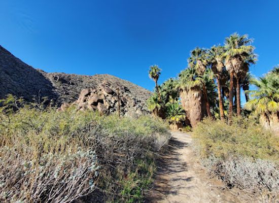 california/palm-desert/attraction/santa-rosa-and-san-jacinto-mountains-national-monument