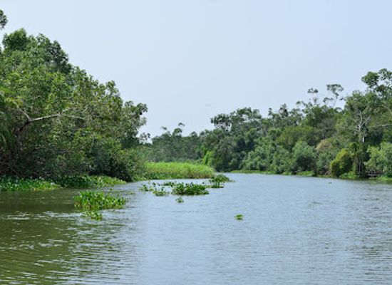 cote-d-ivoire/lagunes/attraction/azagny-national-park