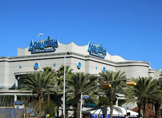 texas/houston/montrose/attraction/downtown-aquarium