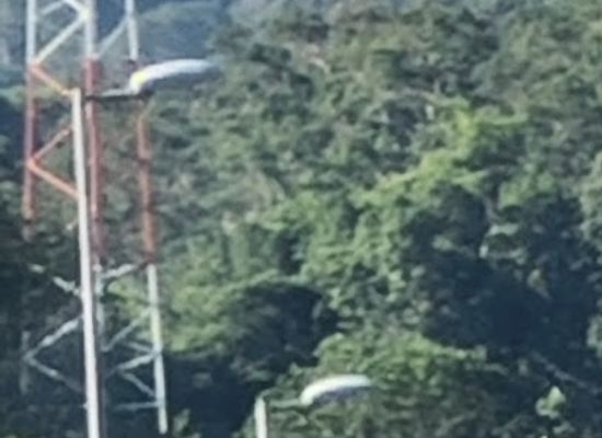 brunei/tutong-river/attraction/view-to-mount-mulu