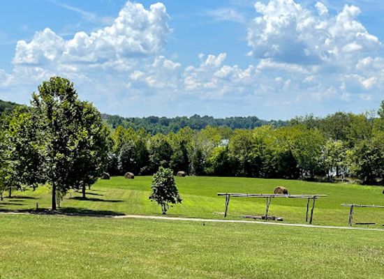 tennessee/east-tennessee/attraction/sequoyah-birthplace-museum