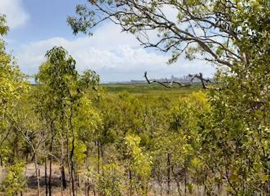australia/darwin/attraction/charles-darwin-national-park