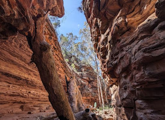 australia/north-east-south-australia/attraction/alligator-gorge