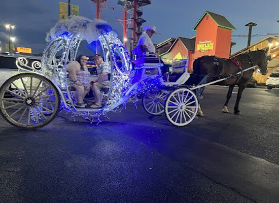 tennessee/great-smoky-mountains/attraction/heritage-carriage-rides