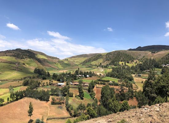 ethiopia/wollo/attraction/suba-menagesha-park