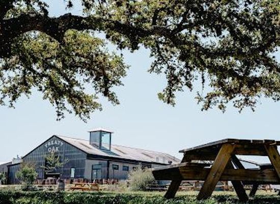 texas/austin/attraction/treaty-oak-distilling