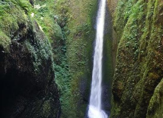 oregon/mount-hood-national-forest/attraction/oneonta-gorge