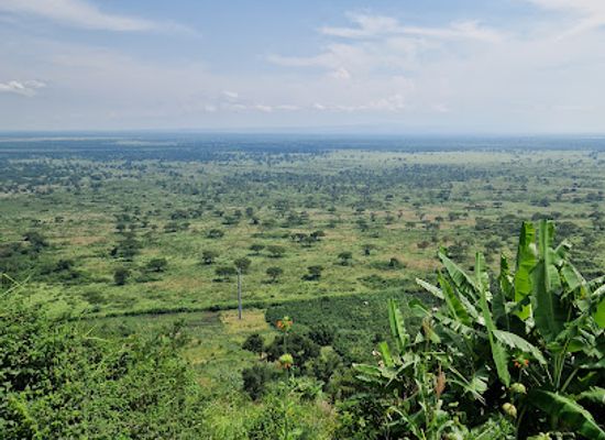uganda/western-region/attraction/queen-elizabeth-n-p-kyansama-viewpoint