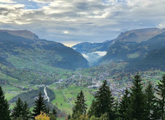 switzerland/grindelwald/attraction/fly-line-pfingstegg