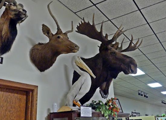 south-dakota/lake-oahe/attraction/the-klein-museum