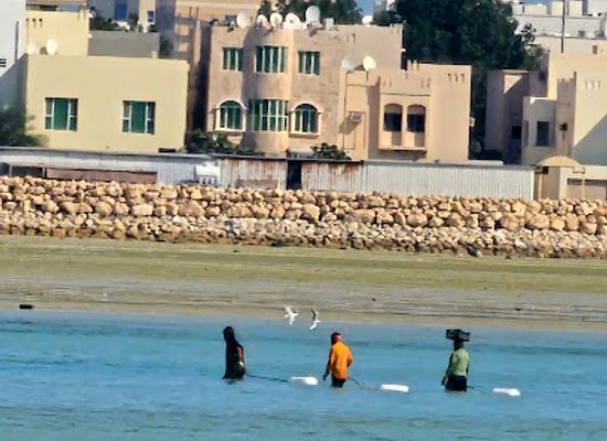 bahrain/hawar-islands/attraction/al-sayadeen-view-point