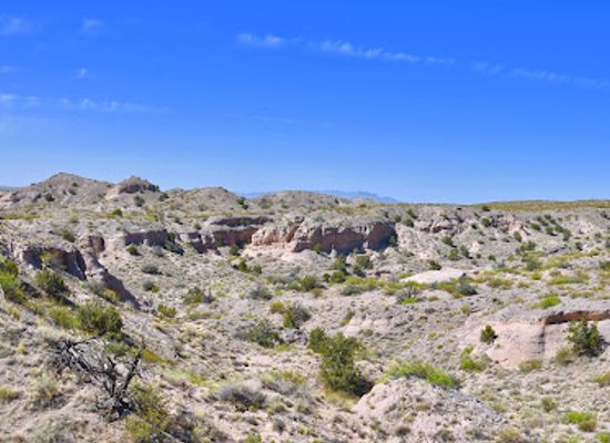 new-mexico/eastern-new-mexico/attraction/bosque-del-apache-national-wildlife-refuge-visitor-center