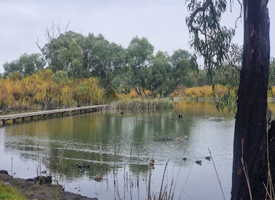 australia/riverland/attraction/kuerschner-boardwalk