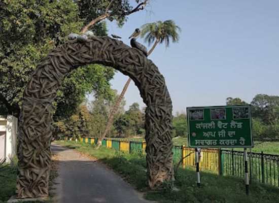 india/punjab/attraction/kanjli-wetland