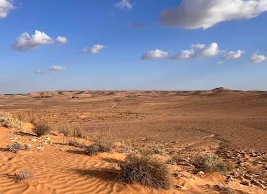 tunisia/djerba/midoun/attraction/djerbay