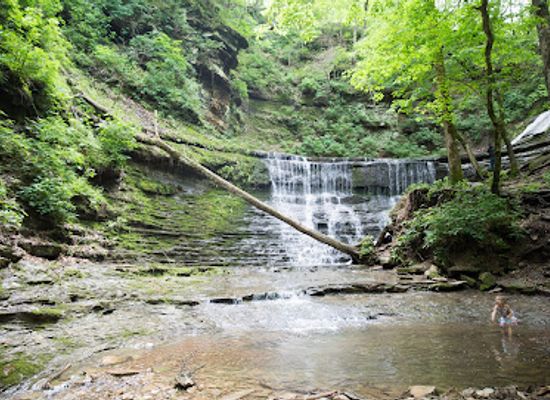 tennessee/duck-river-valley/attraction/jackson-falls