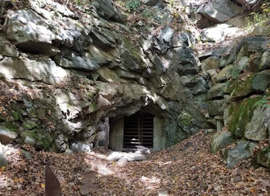 new-jersey/skylands-region/attraction/bat-cave-property