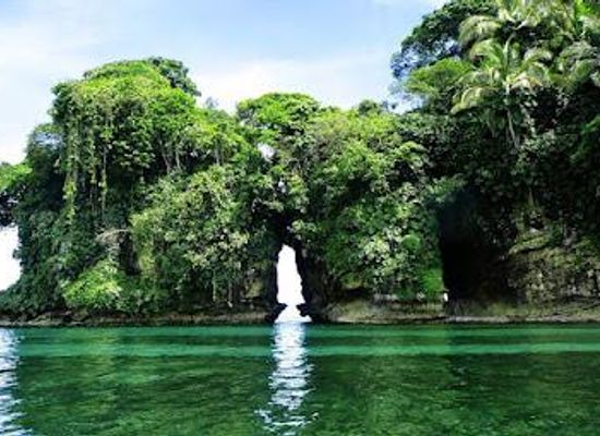 panama/bocas-del-toro/attraction/bird-island