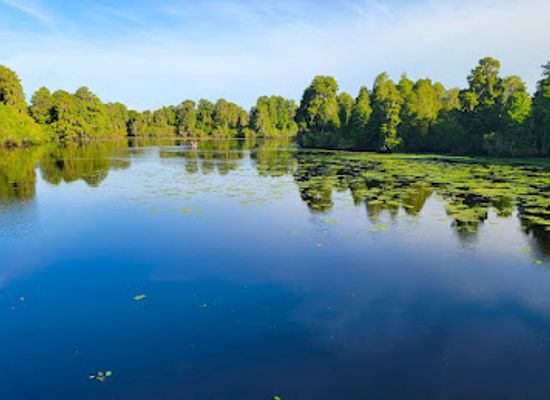 florida/tampa-bay-area/attraction/lettuce-lake-park