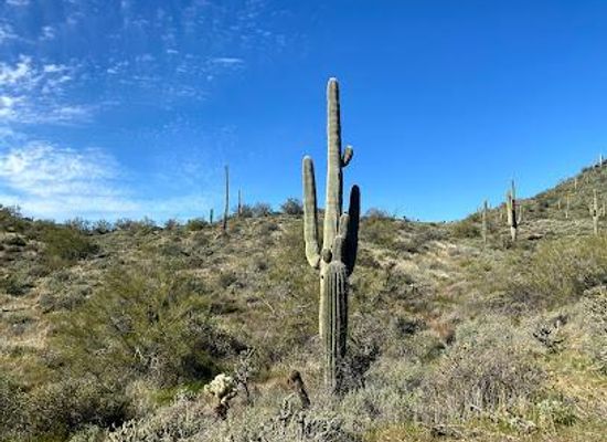 arizona/scottsdale/attraction/cave-creek-regional-park