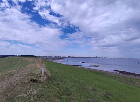 netherlands/zeeland/attraction/kustbatterij-st-marguerite