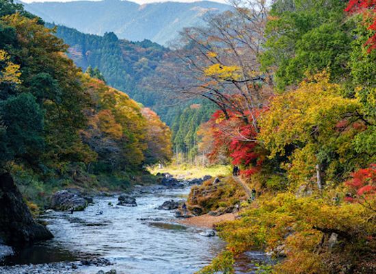 japan/kai/attraction/mitake-gorge