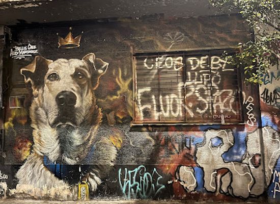greece/athens/psiri/attraction/graffiti-loukanikos