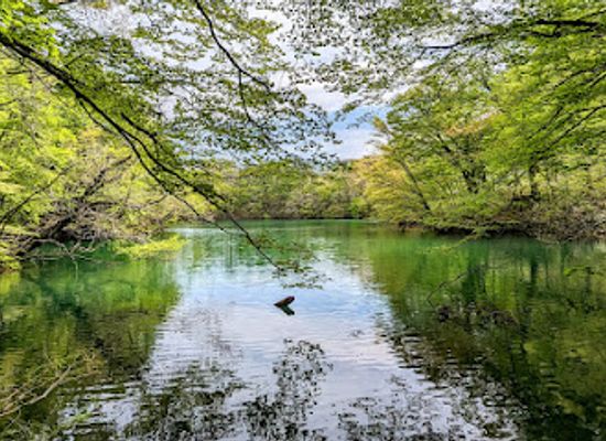 japan/tohoku/attraction/lake-juniko