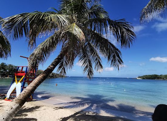 honduras/bay-islands/attraction/west-end-village-roatan-honduras