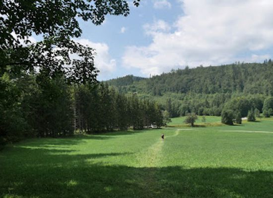 slovakia/muranska-planina-national-park/attraction/razcestie-velka-luka-piesky