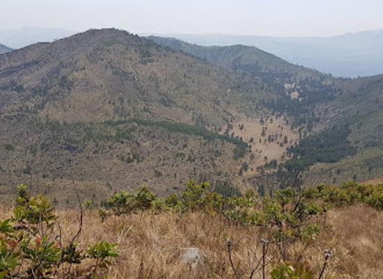 tanzania/southern-highlands/attraction/mount-rungwe