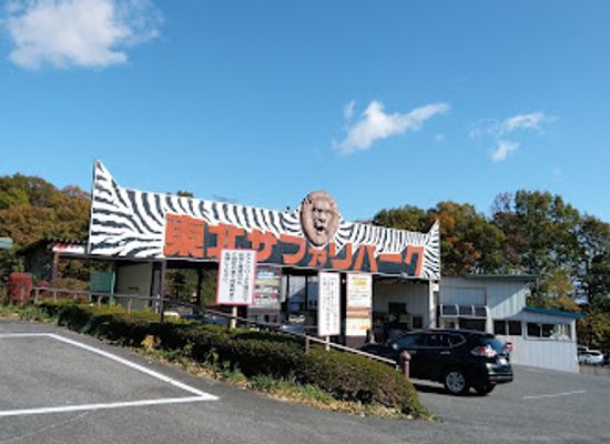 japan/tohoku/attraction/tohoku-safari-park