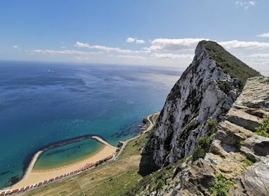 gibraltar/little-bay/attraction/barbary-macaque-feeding-station