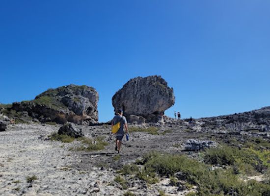the-bahamas/eleuthera/attraction/the-cow-and-the-bull